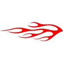 Flame 491
